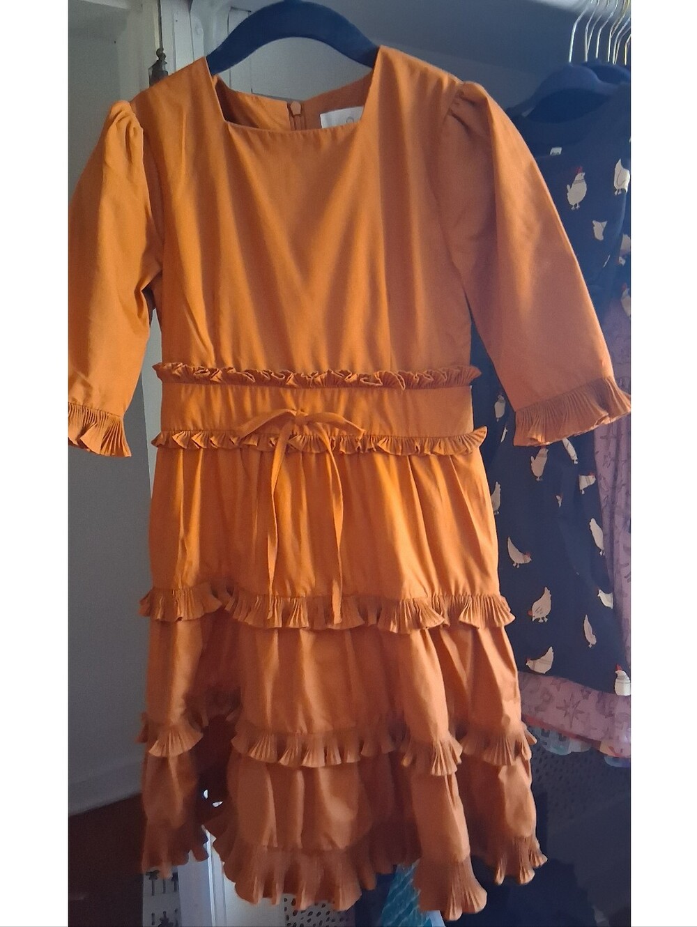 Dainty Jewells Rust Dress
